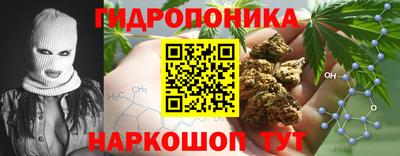 бошки Балахна