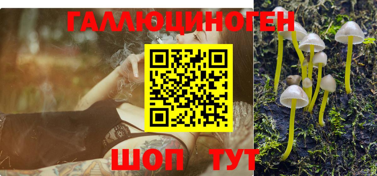 Псилоцибиновые грибы прущие грибы Гурьевск